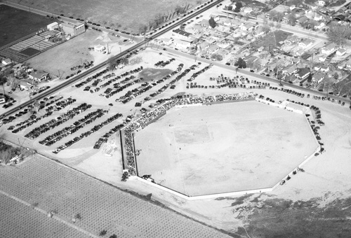 Chance Field
